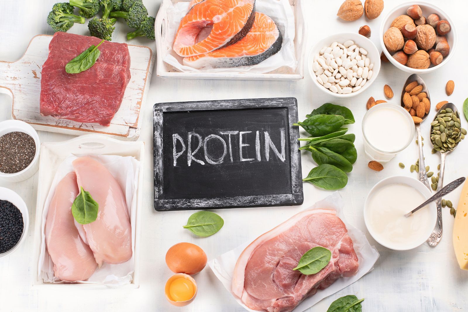 Ο ρόλος της πρωτεΐνης στην απώλεια βάρους | Lida Green Inc.